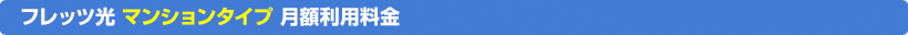 フレッツ光 マンションタイプ 月額利用料金